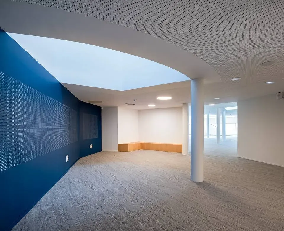 plafond acoustique (8)